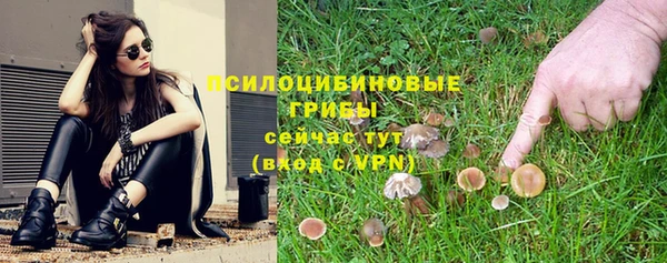 mdpv Армянск