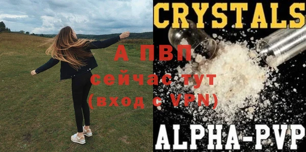 стафф Аксай