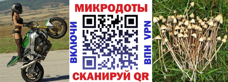 что такое   Кологрив  Галлюциногенные грибы прущие грибы 